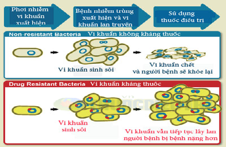 Hãy dừng việc giết các vi khuẩn có lợi bằng thuốc! 1
